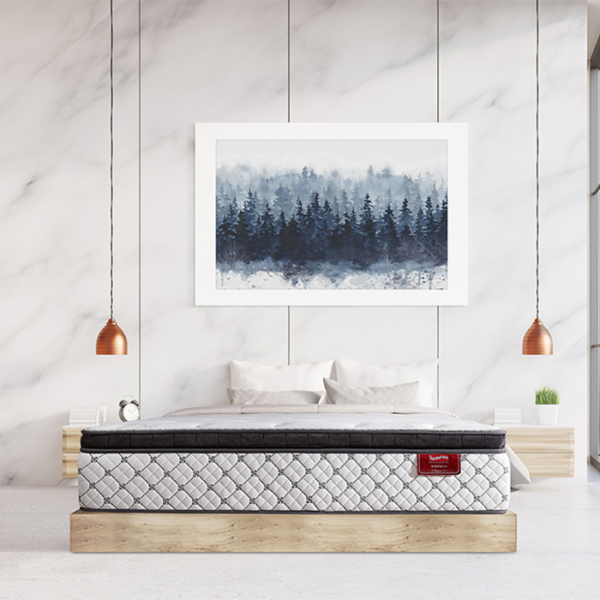 TempSmart™ 5.0 II 駿麗