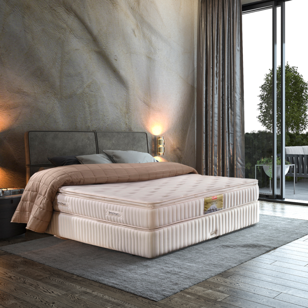 TempSmart™ II 駿逸