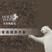 斯林百蘭；馬毛；天然馬鬃毛；床褥墊層